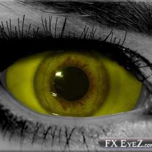 Yellow Sickly Eye Sclera SFX Lenses